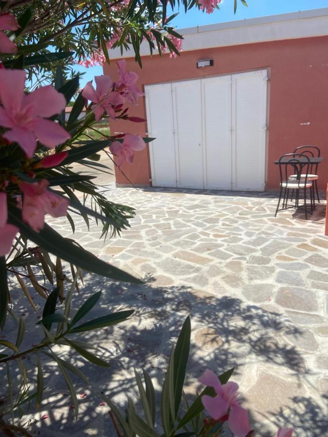 Studio Simoneta مالينسكا المظهر الخارجي الصورة